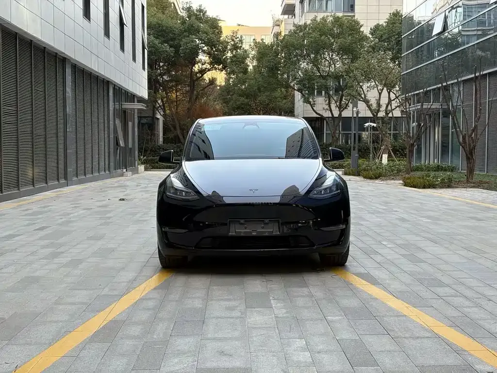 Tesla Model Y — фото 10