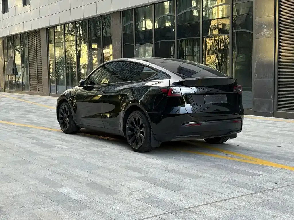 Tesla Model Y — фото 5