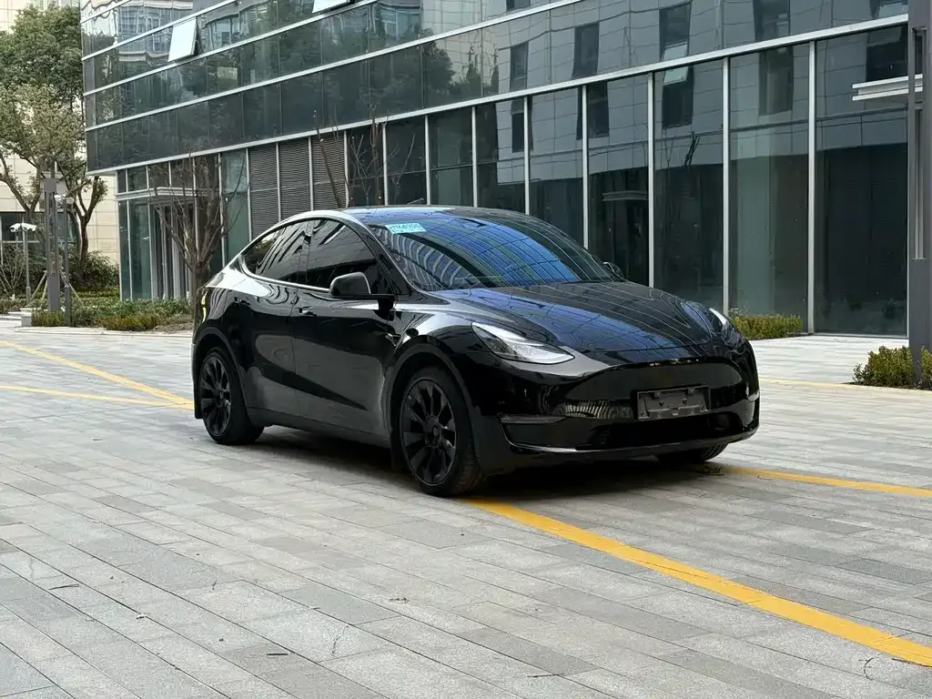 Tesla Model Y — фото 8