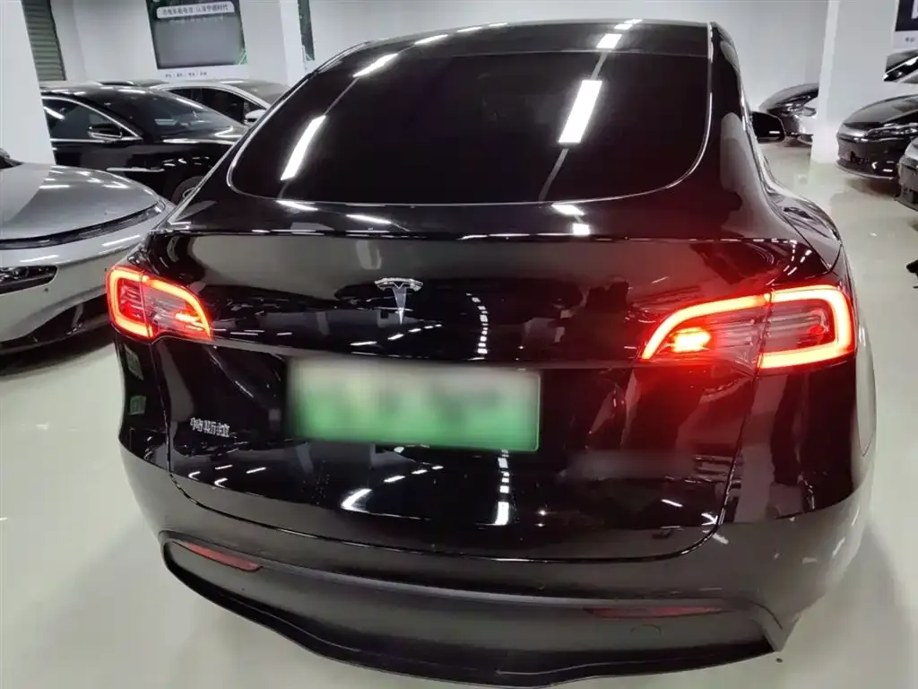 Tesla Model Y 2023 из CN, фото 6