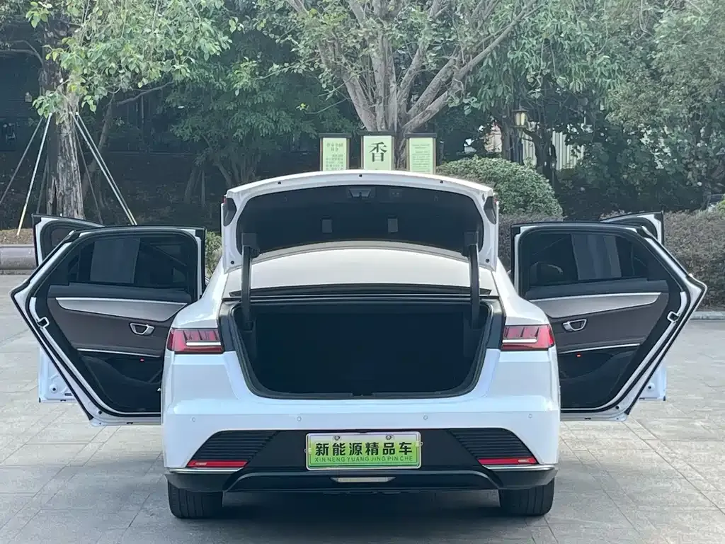 BYD Han 2021 из CN, фото 7