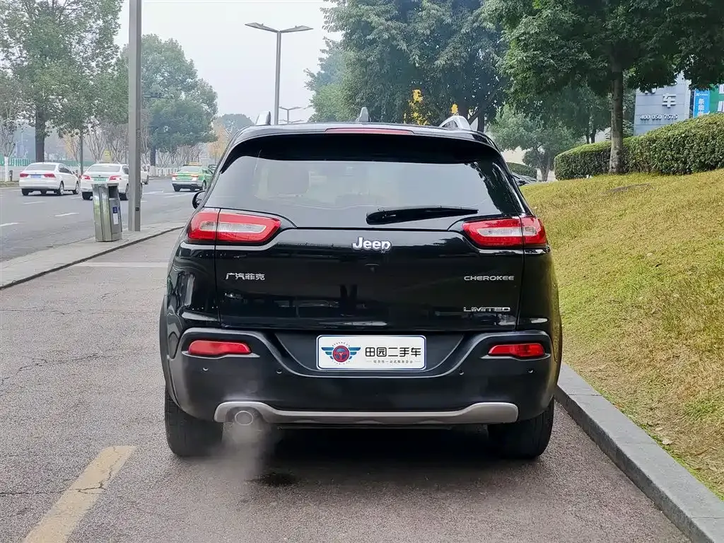 Jeep Cherokee 2021 из CN, фото 5