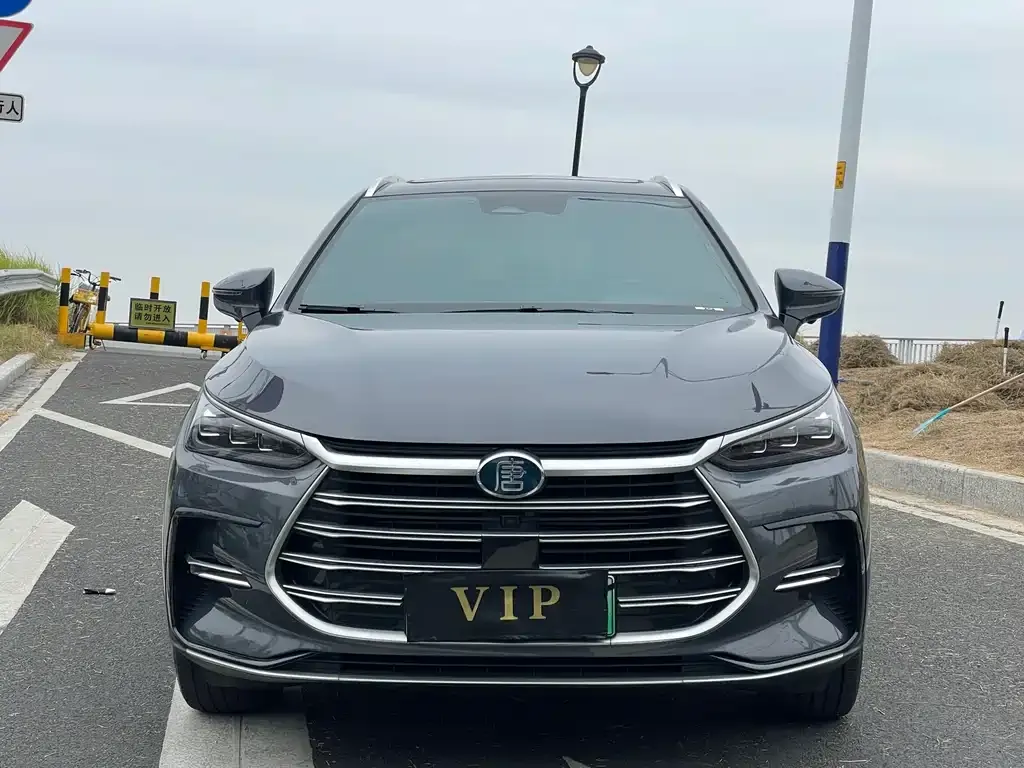BYD Tang New Energy — фото 10