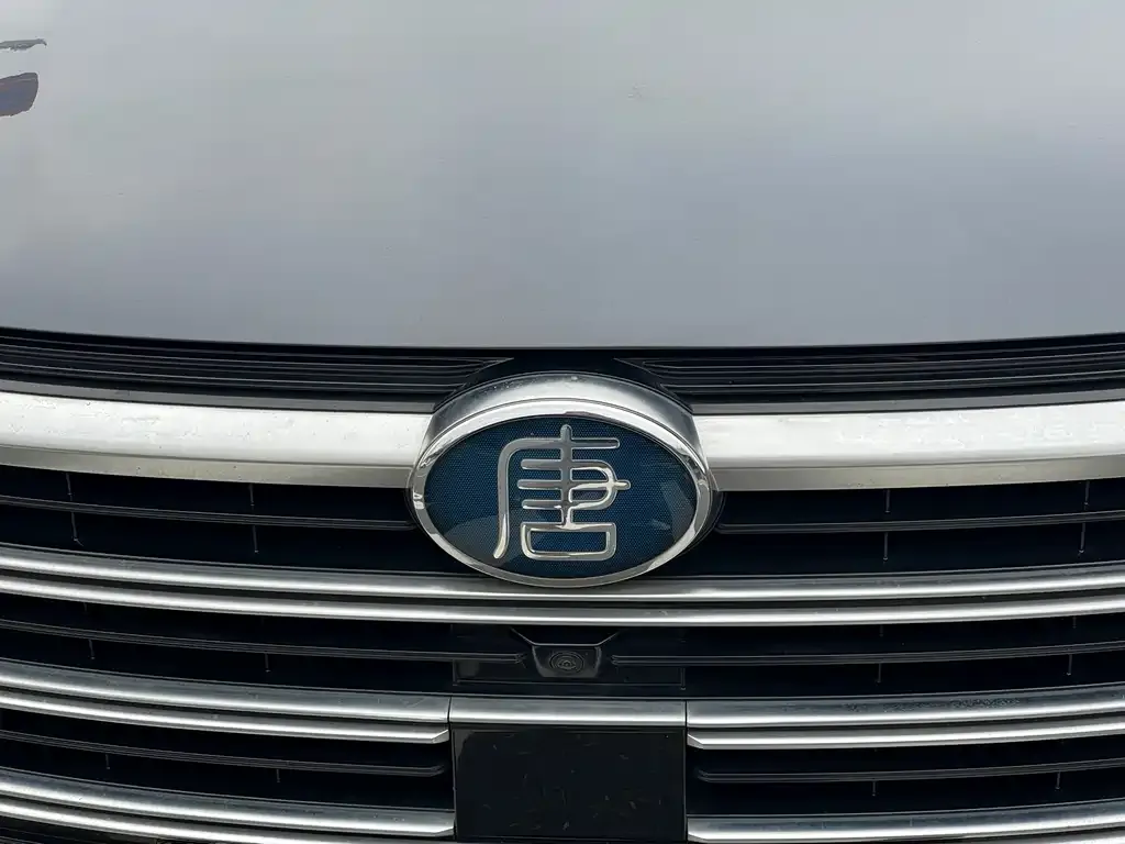 BYD Tang New Energy — фото 2