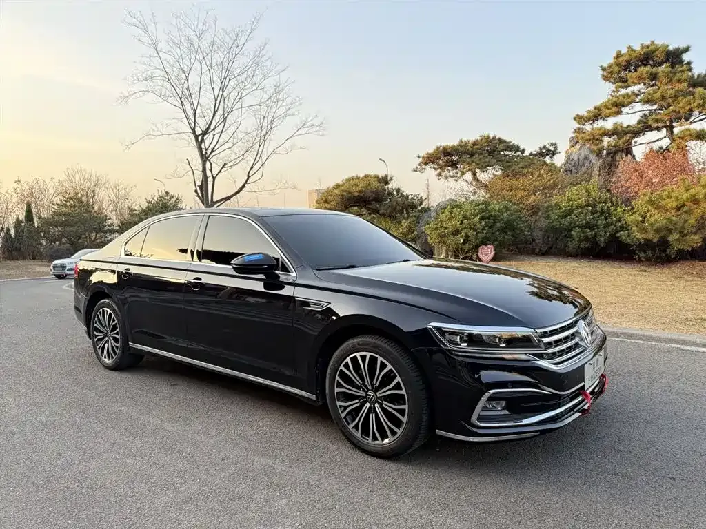 Volkswagen Phideon — фото 9