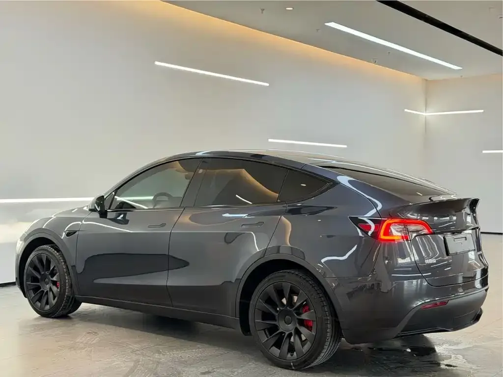 Tesla Model Y — фото 3