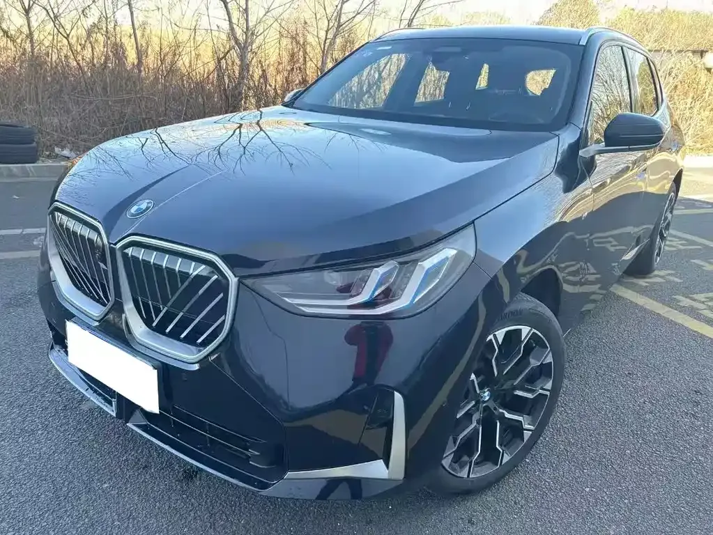 BMW X3 — фото 1