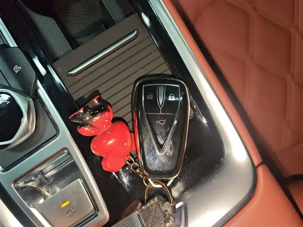 Changan CS55PLUS 2024 из CN, фото 9