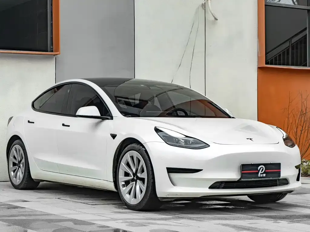 Tesla Model 3 2021 из CN, фото 1