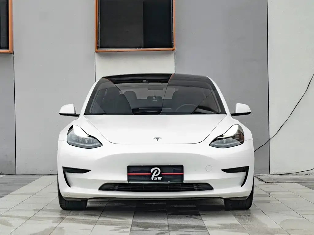 Tesla Model 3 2021 из CN, фото 7