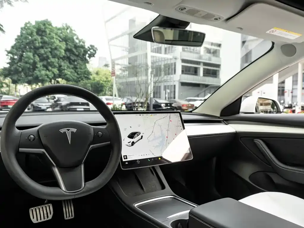 Tesla Model 3 2021 из CN, фото 4