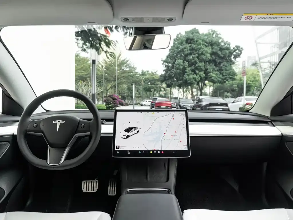 Tesla Model 3 2021 из CN, фото 9