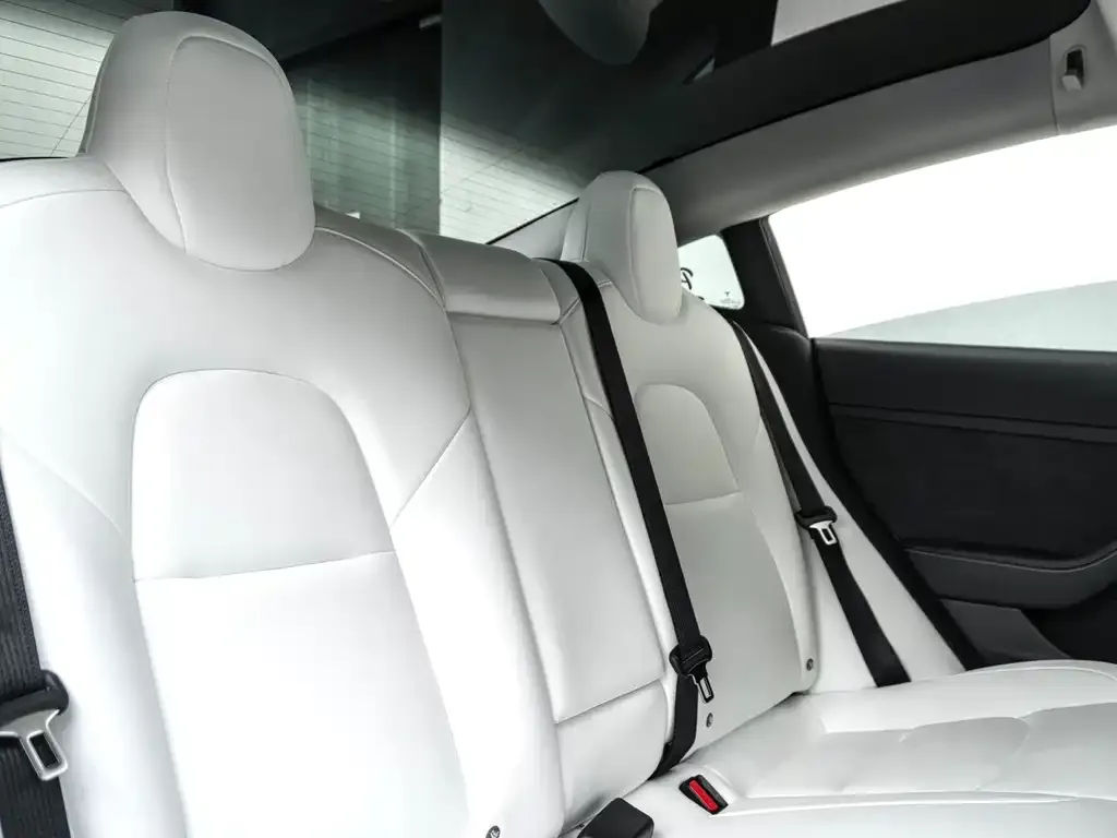 Tesla Model 3 2021 из CN, фото 10