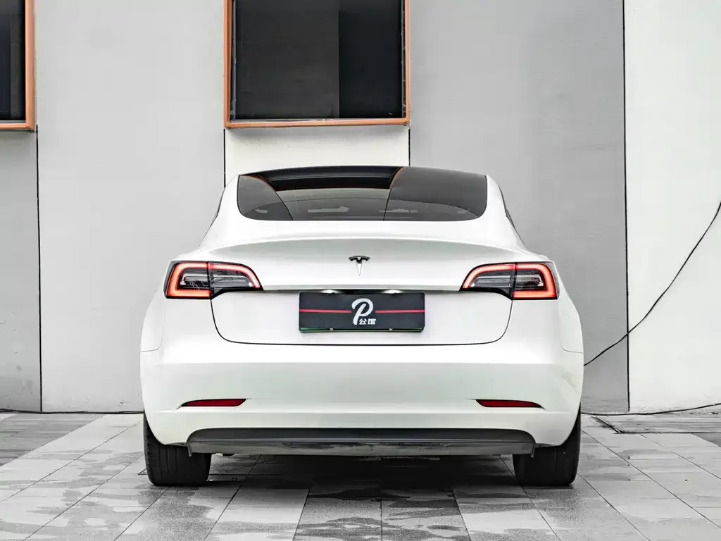 Tesla Model 3 2021 из CN, фото 2