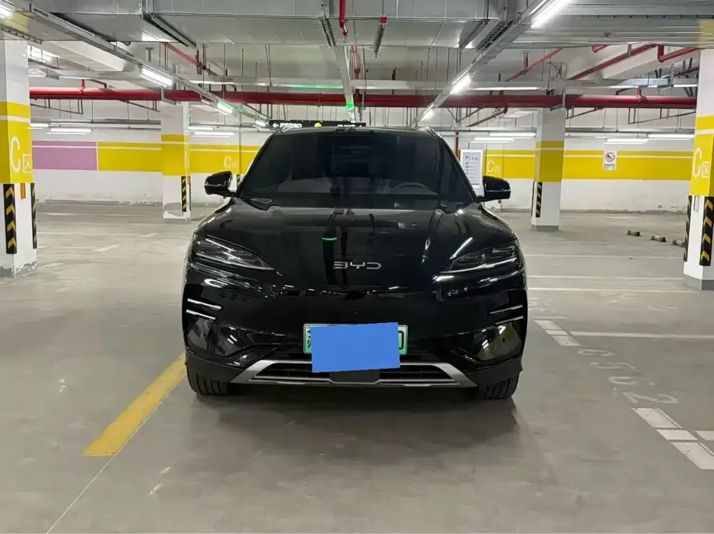 BYD PLUS New Energy 2025 из CN, фото 1