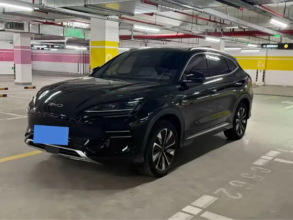 BYD PLUS New Energy 2025 из CN, фото 2