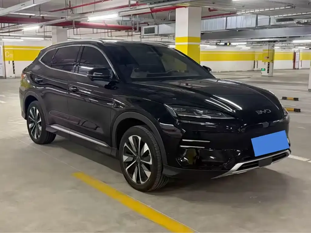 BYD PLUS New Energy 2025 из CN, фото 3