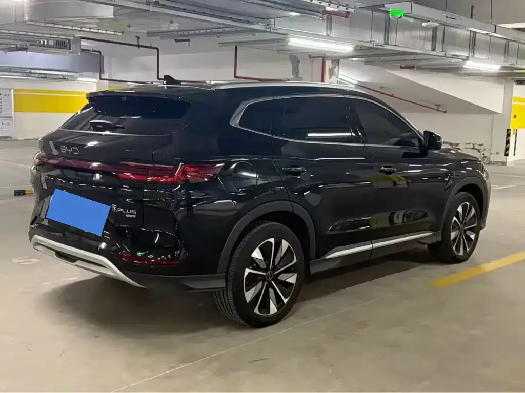 BYD PLUS New Energy 2025 из CN, фото 4