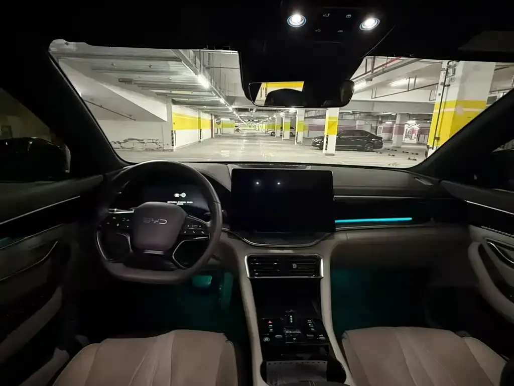 BYD PLUS New Energy 2025 из CN, фото 9