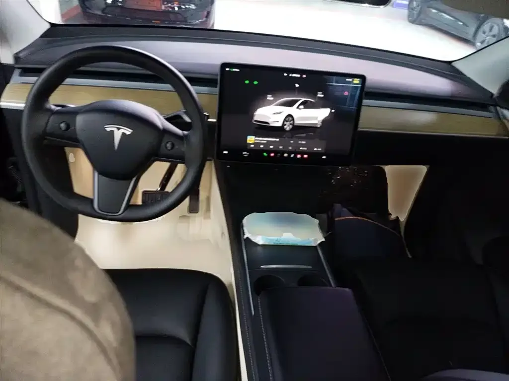 Tesla Model Y 2023 из CN, фото 8