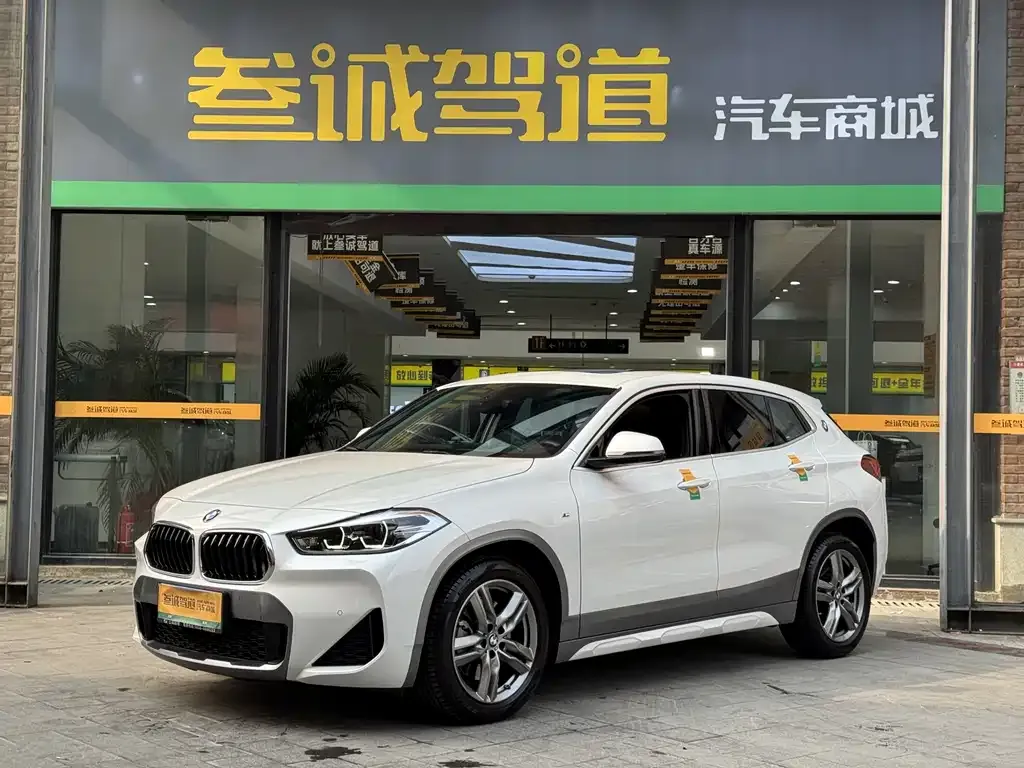BMW X2 2021 из CN, фото 1