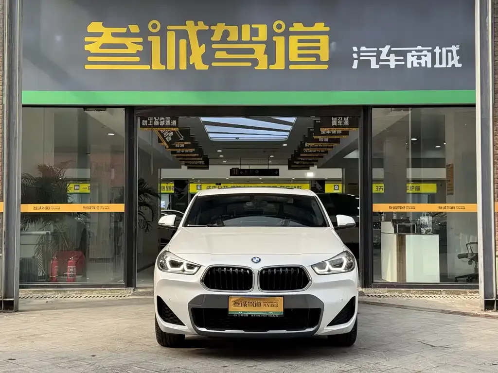 BMW X2 2021 из CN, фото 10