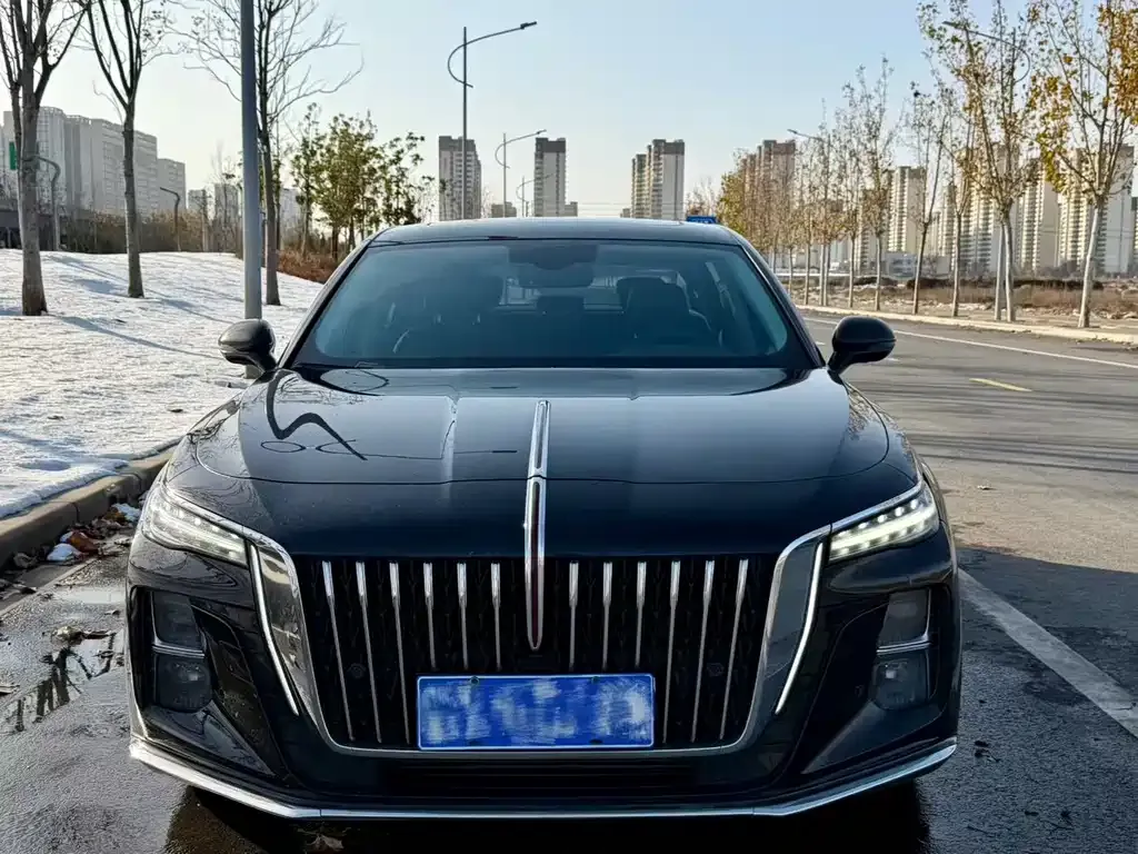 Hongqi H5 2024 из CN, фото 2