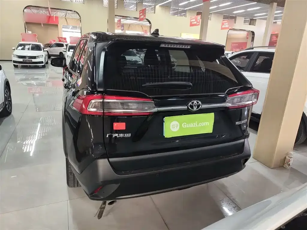 Toyota Wildlander 2024 из CN, фото 3