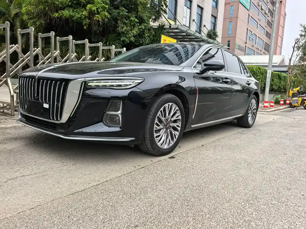 Hongqi H5 2024 из CN, фото 1