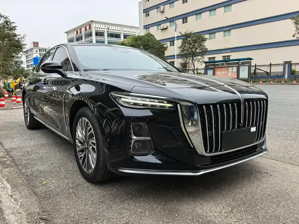 Hongqi H5 2024 из CN, фото 8