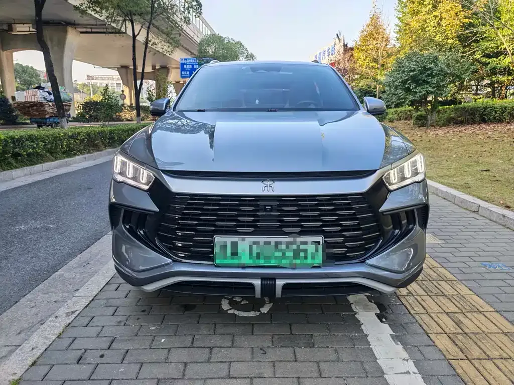 BYD Pro New Energy 2023 из CN, фото 3