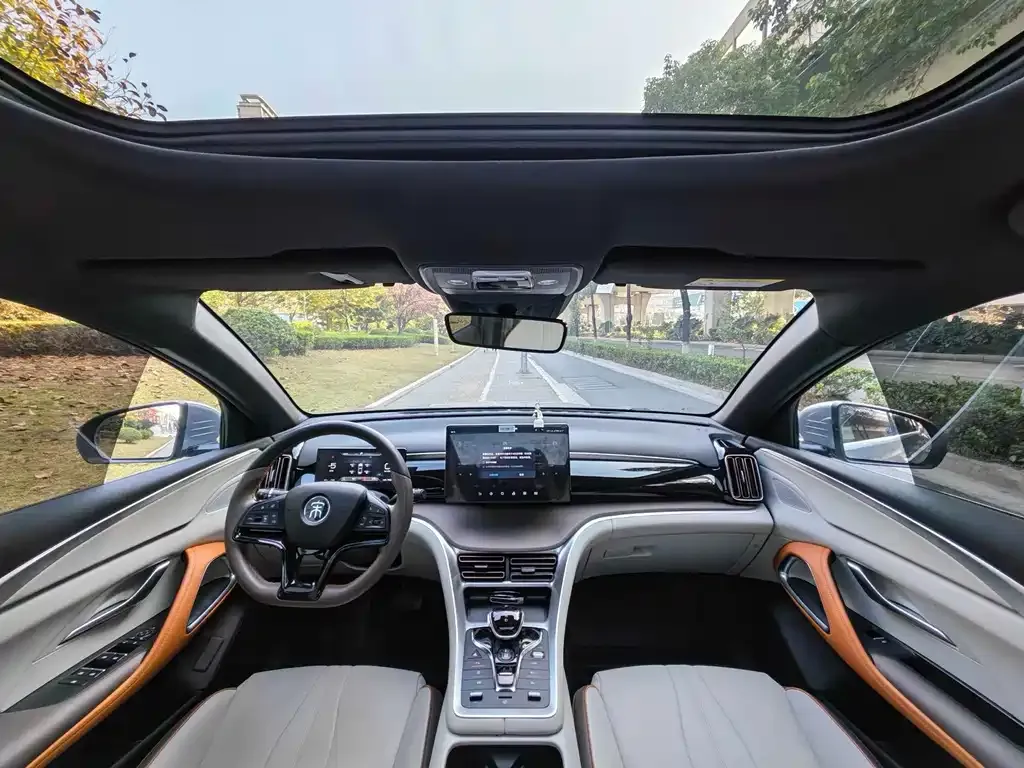 BYD Pro New Energy 2023 из CN, фото 4