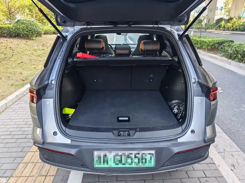 BYD Pro New Energy 2023 из CN, фото 7