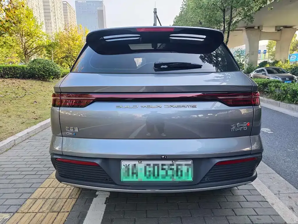 BYD Pro New Energy 2023 из CN, фото 9