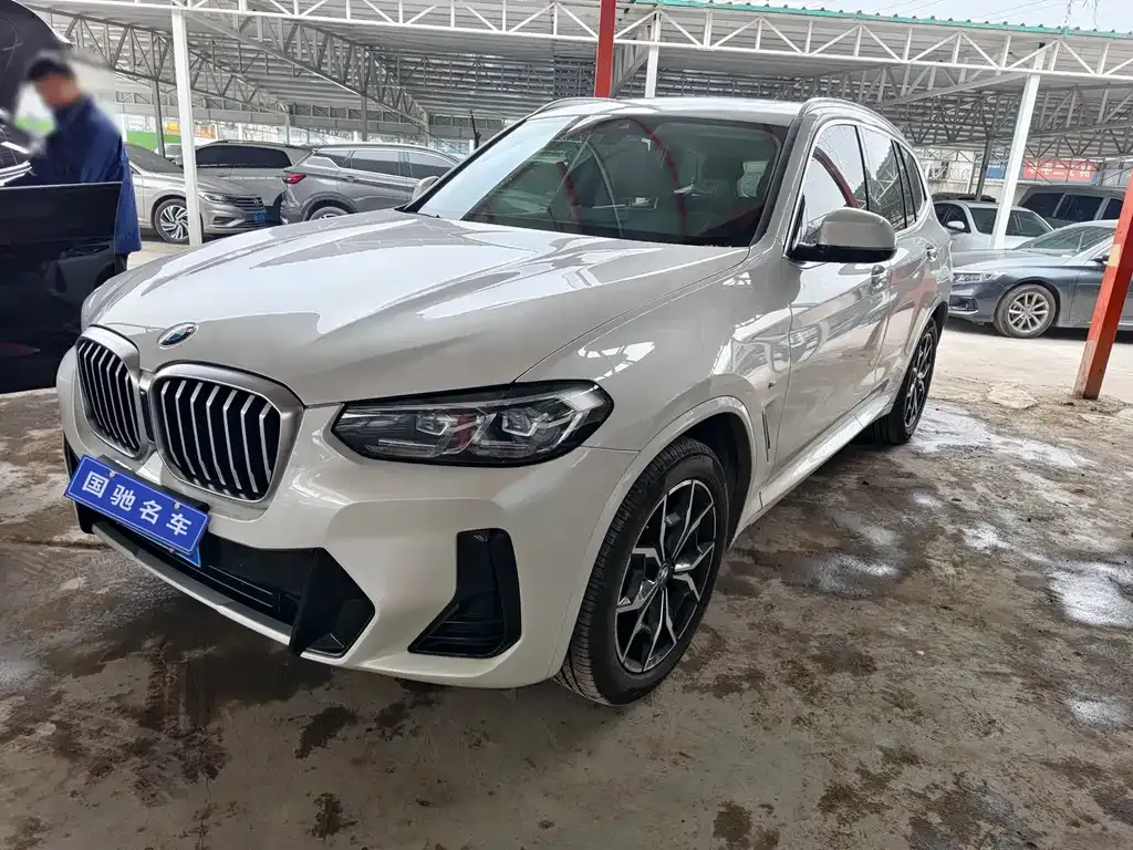 BMW X3 — фото 1