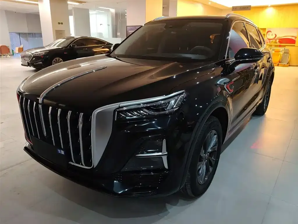 Hongqi HS5 2023 из CN, фото 9