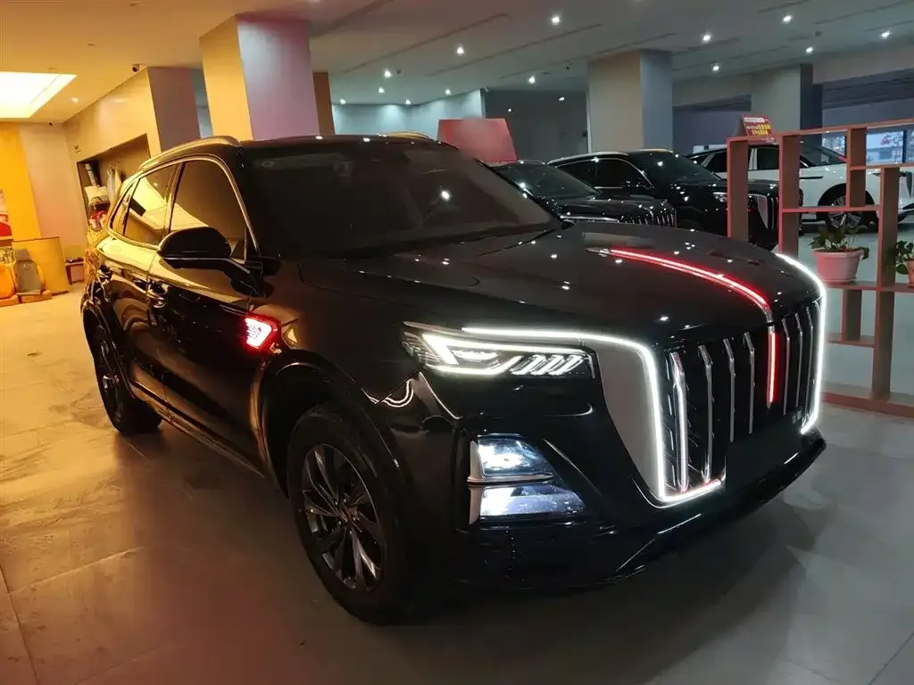 Hongqi HS5 2023 из CN, фото 6