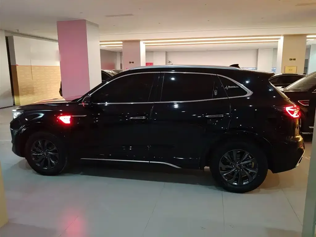 Hongqi HS5 2023 из CN, фото 3