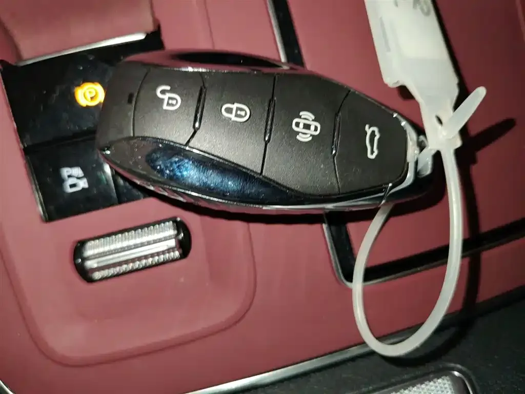 Hongqi HS5 2023 из CN, фото 8
