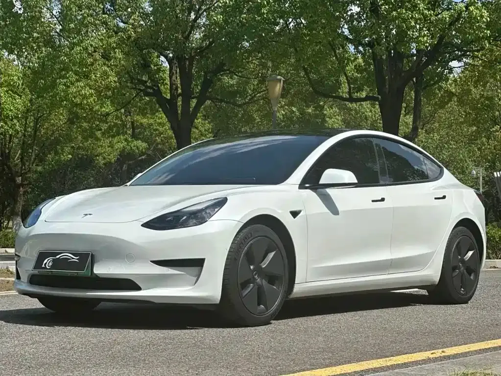 Tesla Model 3 2022 из CN, фото 1