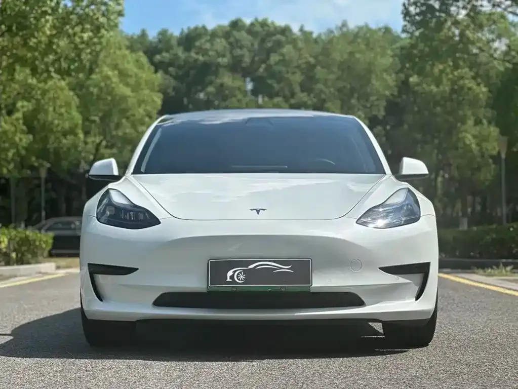 Tesla Model 3 2022 из CN, фото 2