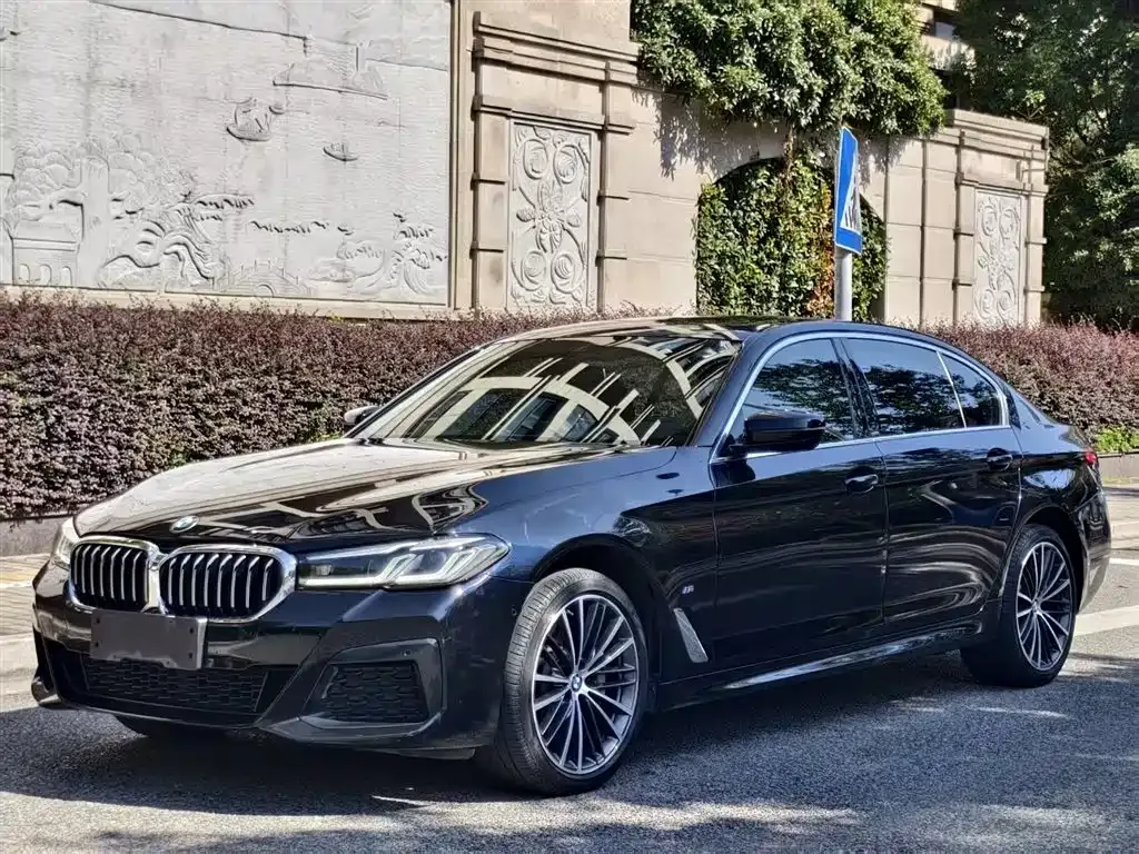 BMW 5 Series 2023 из CN, фото 10