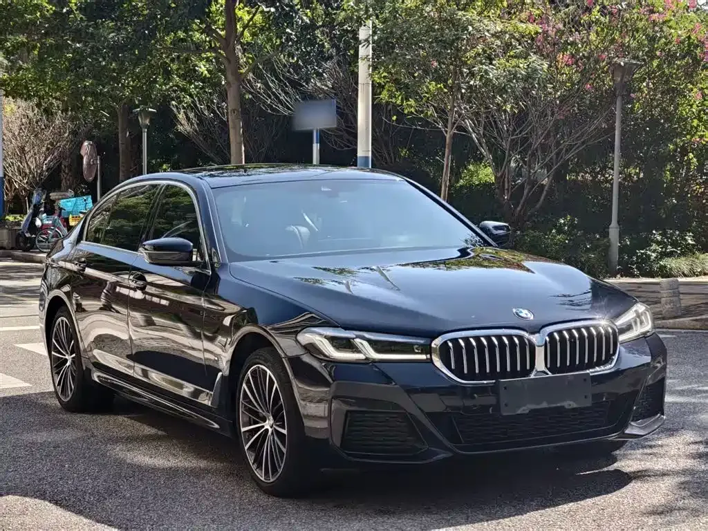 BMW 5 Series 2023 из CN, фото 6