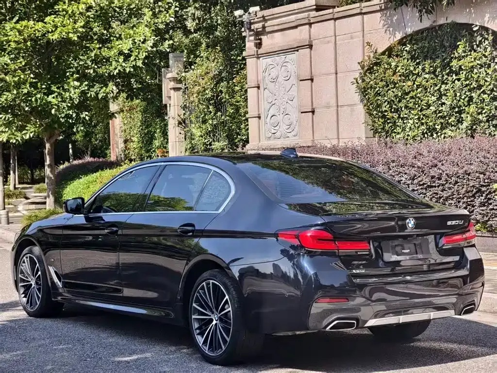 BMW 5 Series 2023 из CN, фото 7