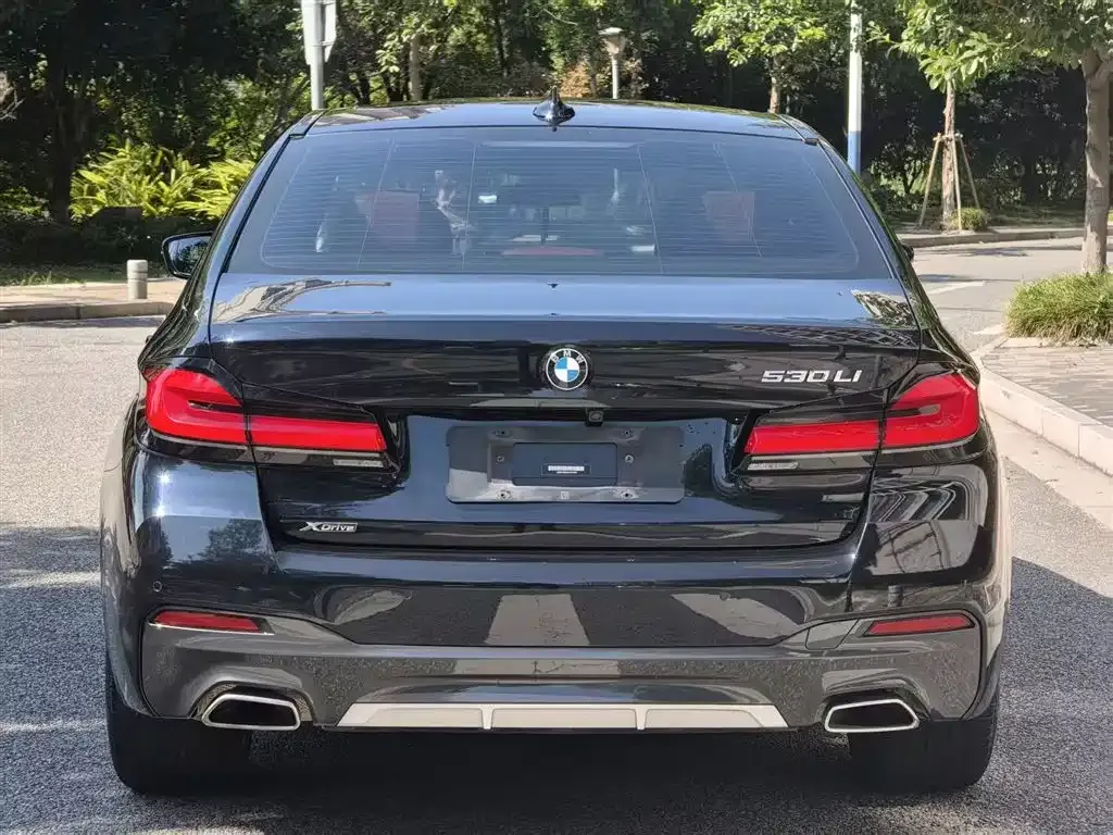 BMW 5 Series 2023 из CN, фото 8