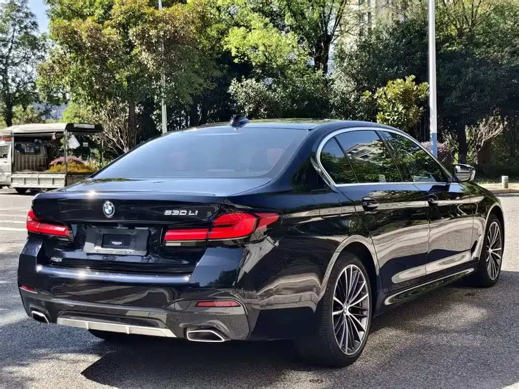BMW 5 Series 2023 из CN, фото 5