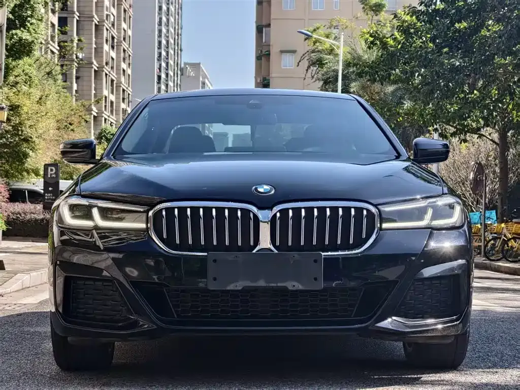 BMW 5 Series 2023 из CN, фото 4