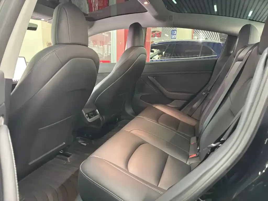 Tesla Model 3 2021 из CN, фото 4