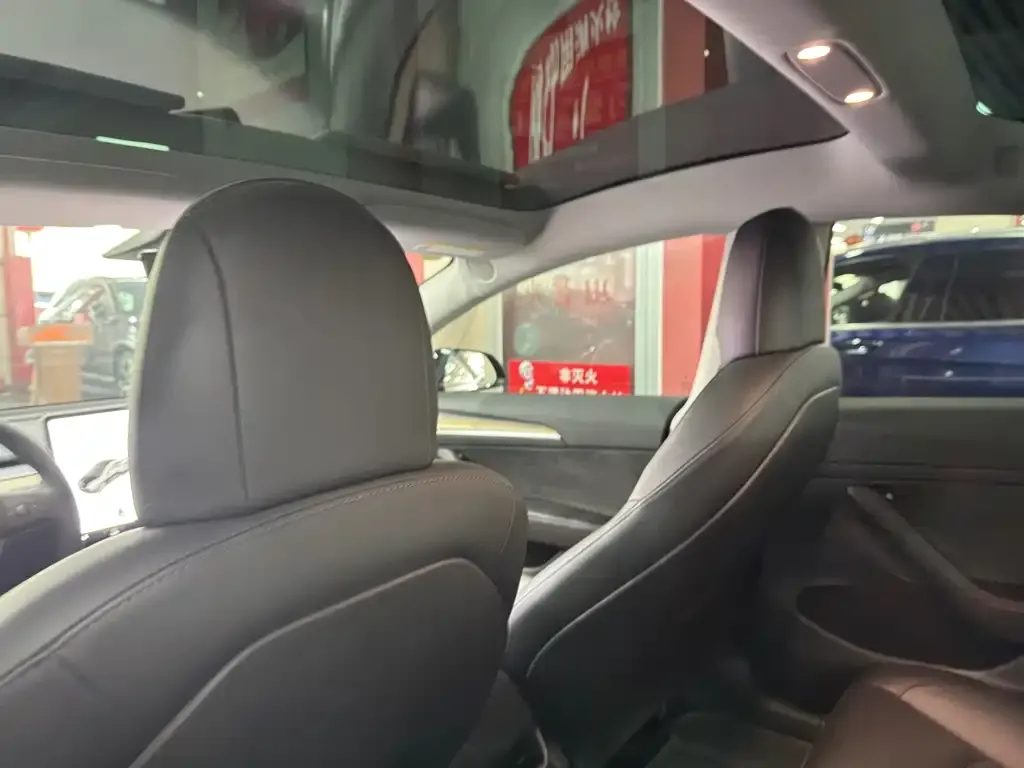 Tesla Model 3 2021 из CN, фото 5