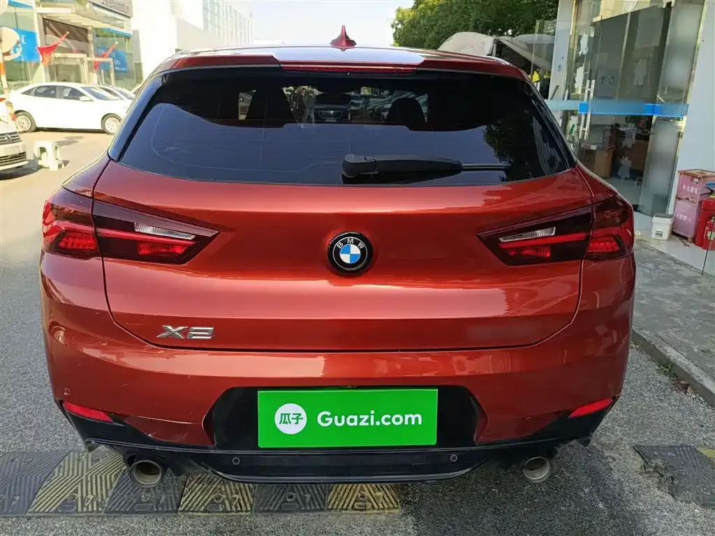 BMW X2 2021 из CN, фото 6